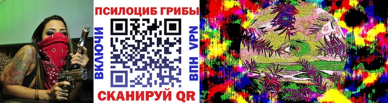Галлюциногенные грибы Psilocybe  Новошахтинск 