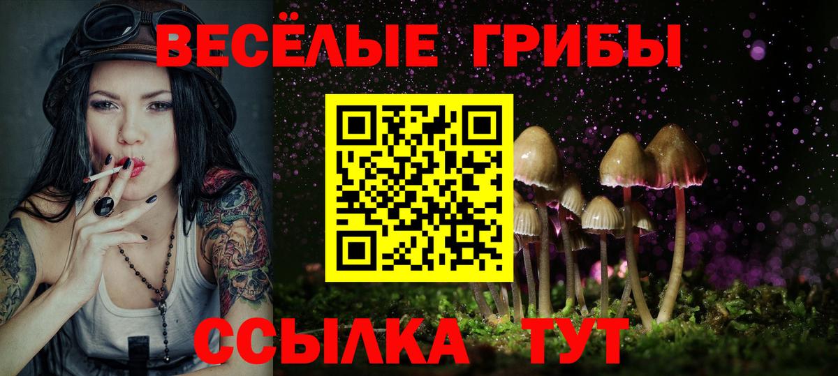 закладки  Вход с VPN  Новошахтинск  Галлюциногенные грибы ЛСД 